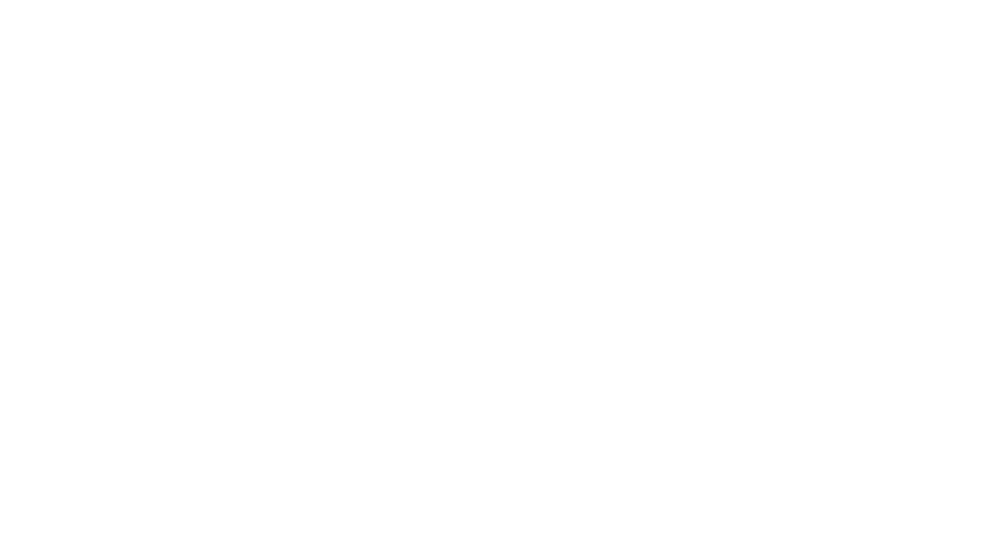 award 2010 Night of the light Best Movie
